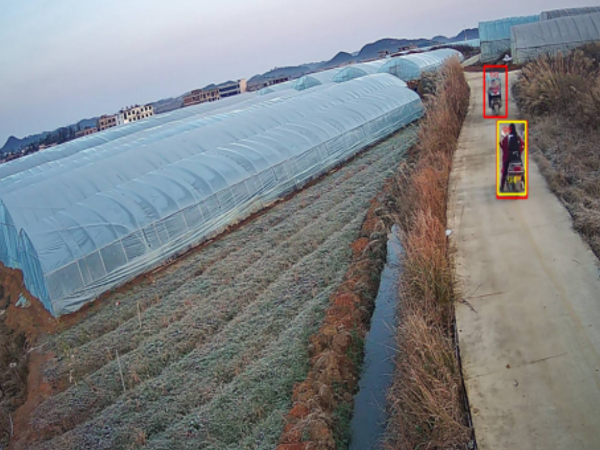 農(nóng)業(yè)大棚安裝視頻監(jiān)控系統(tǒng)怎么選型？看了這個你就知道了