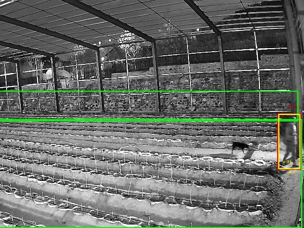 農(nóng)業(yè)園區(qū)視頻監(jiān)控系統(tǒng)要解決的問(wèn)題有哪些？