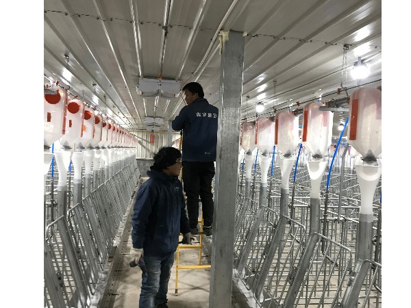 養(yǎng)豬場視頻監(jiān)控系統(tǒng)安裝，從布線到安裝需要的就是嚴謹